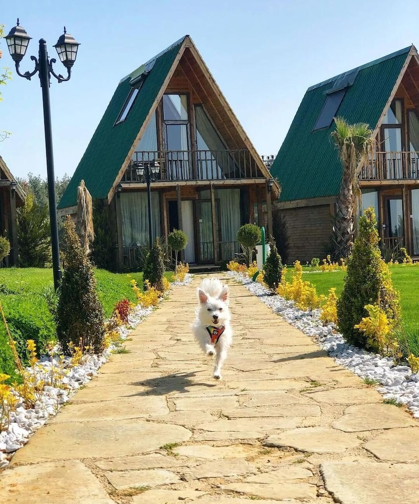 Bisanthe Panorama Sütlüce Dağ Evleri view 5