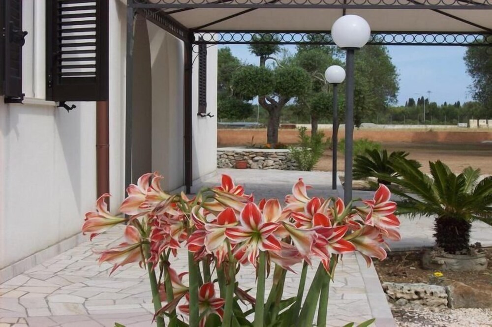 B&B Otranto Le Sancinare