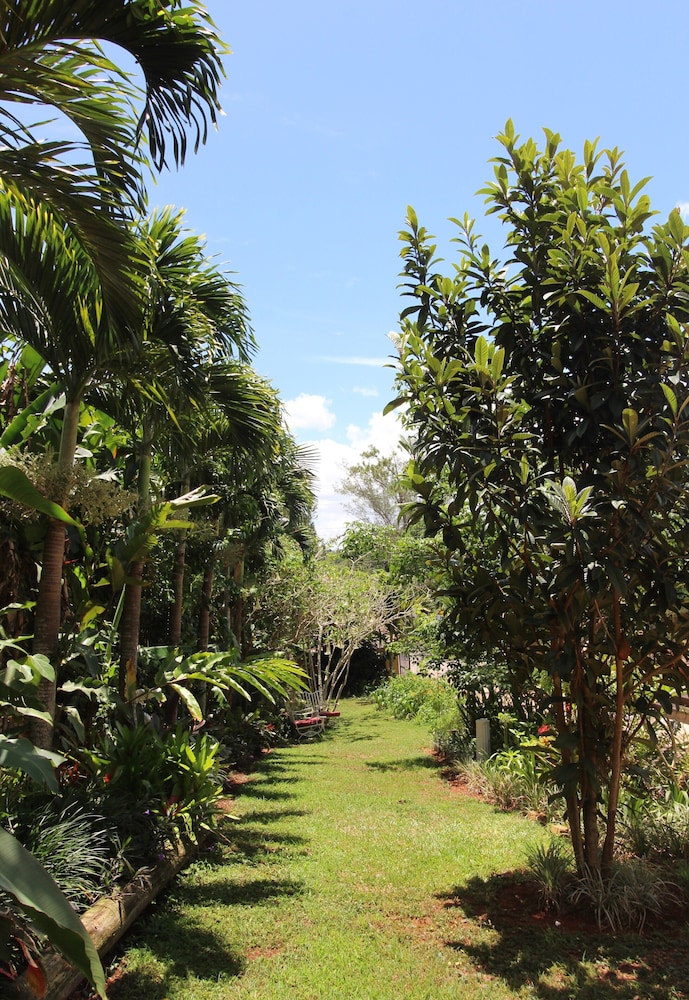 Casa da Buena Vista - Photo 115