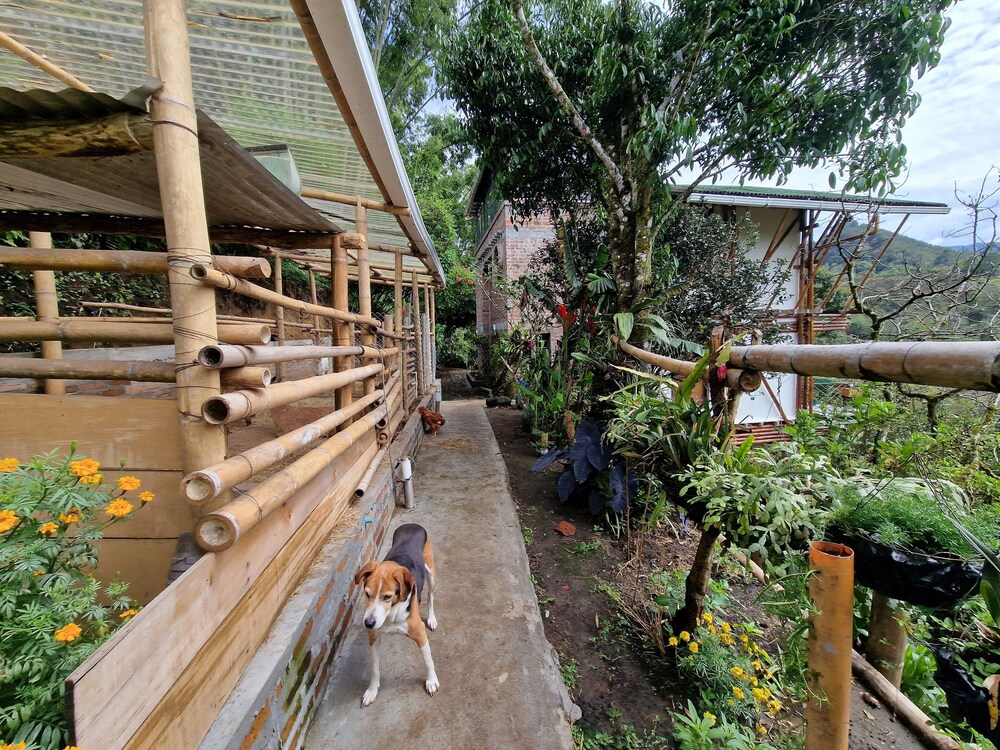 Casa Tien