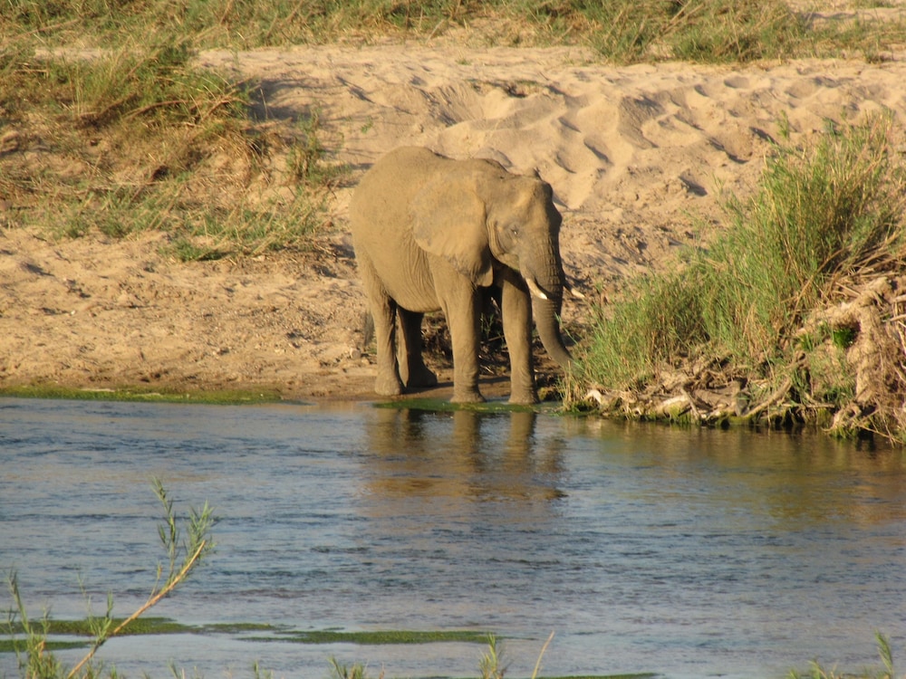 Umvangazi Rest - Enjoy a Relaxing, Rejuvenating and Peaceful Setting in the Bush view 5