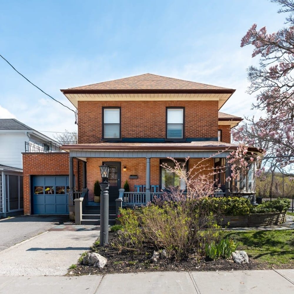 Merlot on Mary - Steps to Everything in Picton - Image 3