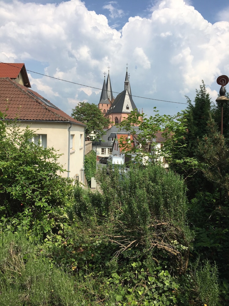 Photo 40