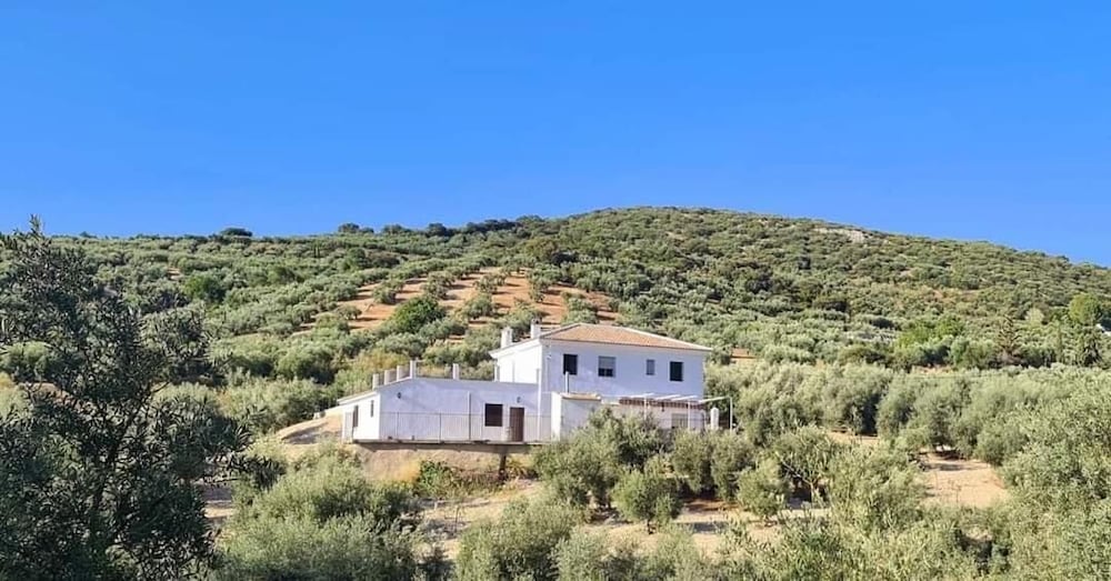 Farmhouse La Polilla photo 3