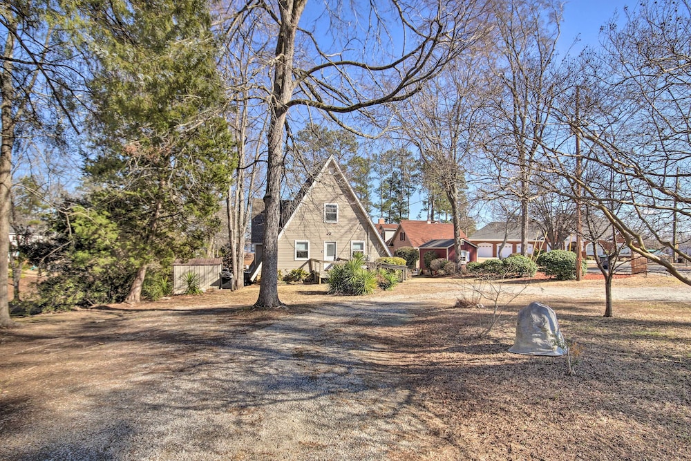 Waterfront Chapin Home w/ Private Dock! view 2