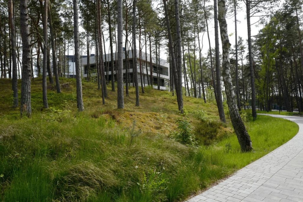 Art Forrest 33 B in Rogowo