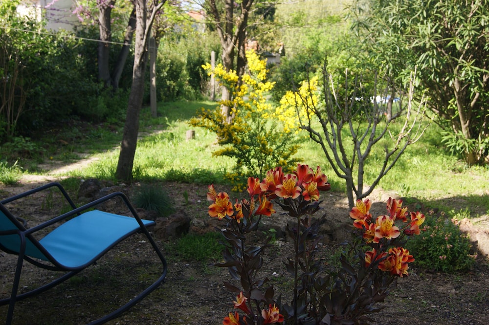 Photo 30