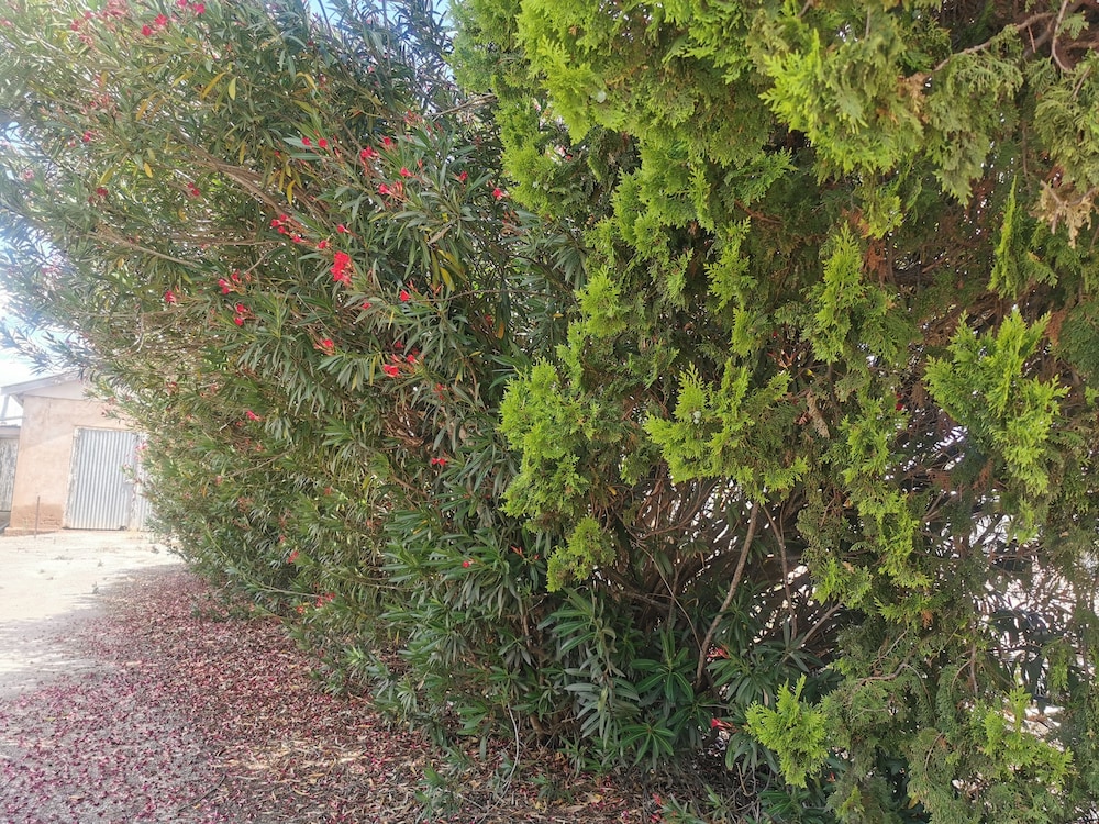 Wattle House