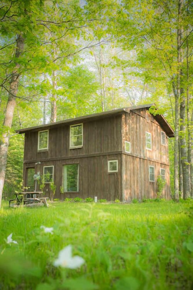 Shire In The Woods