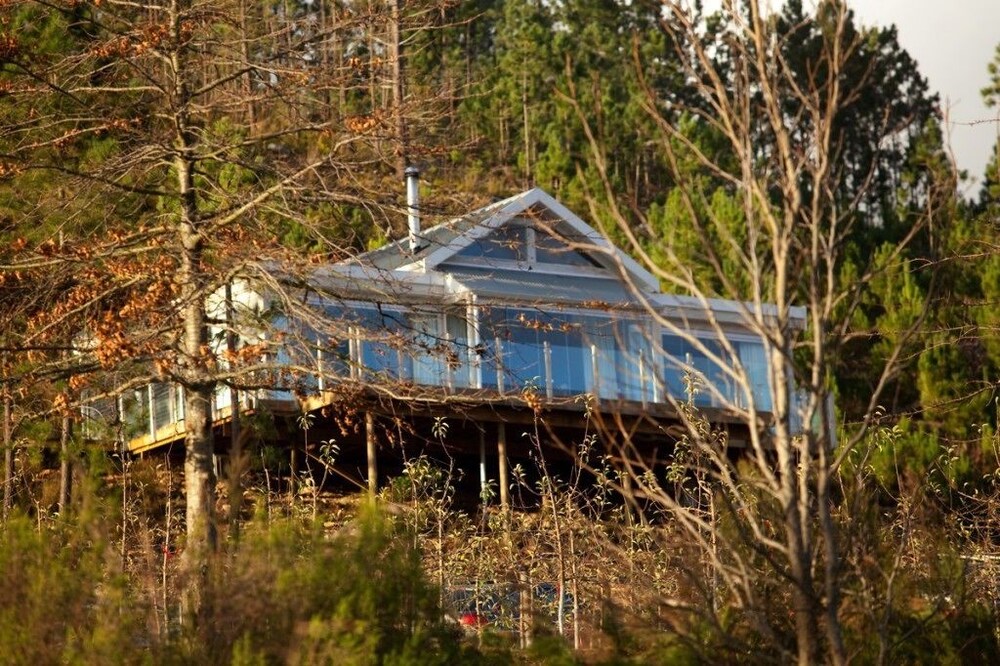 Old Mac Daddy - Campground view 2