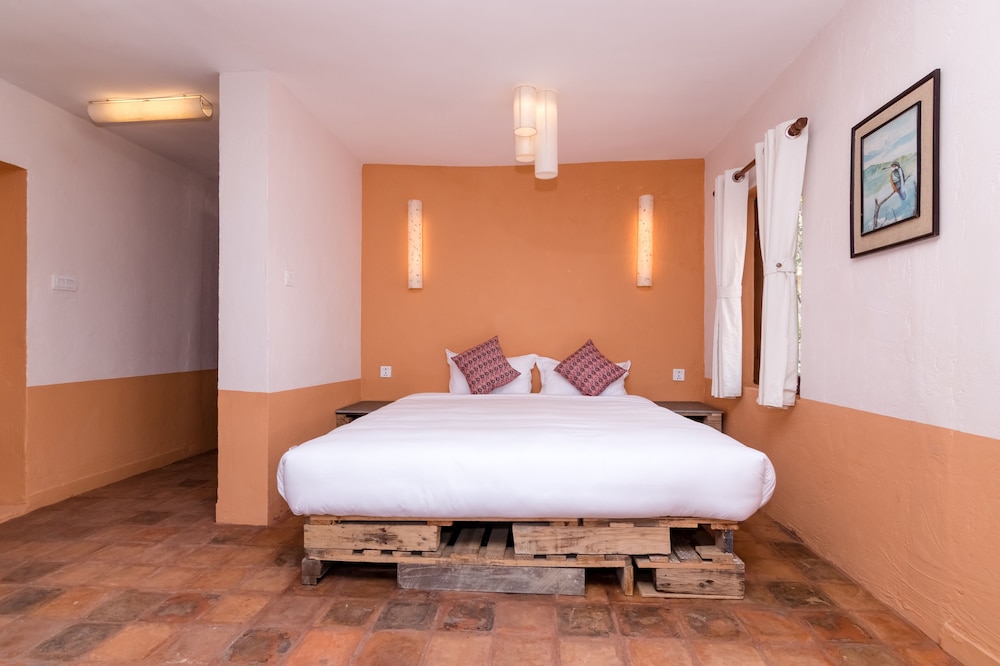 The Museum Bed and Breakfast