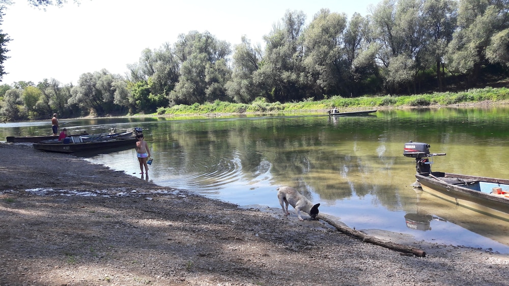 Photo 48