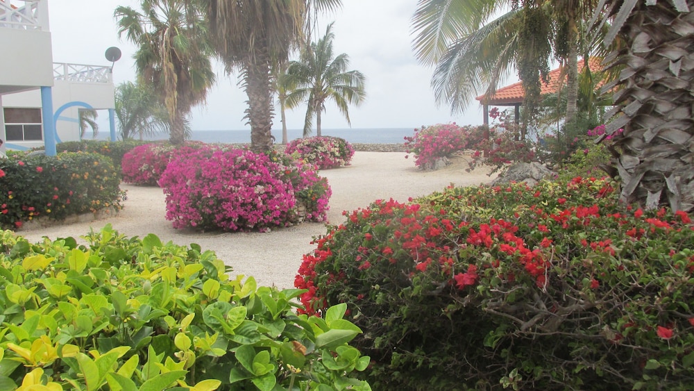 Marazul Dive resort