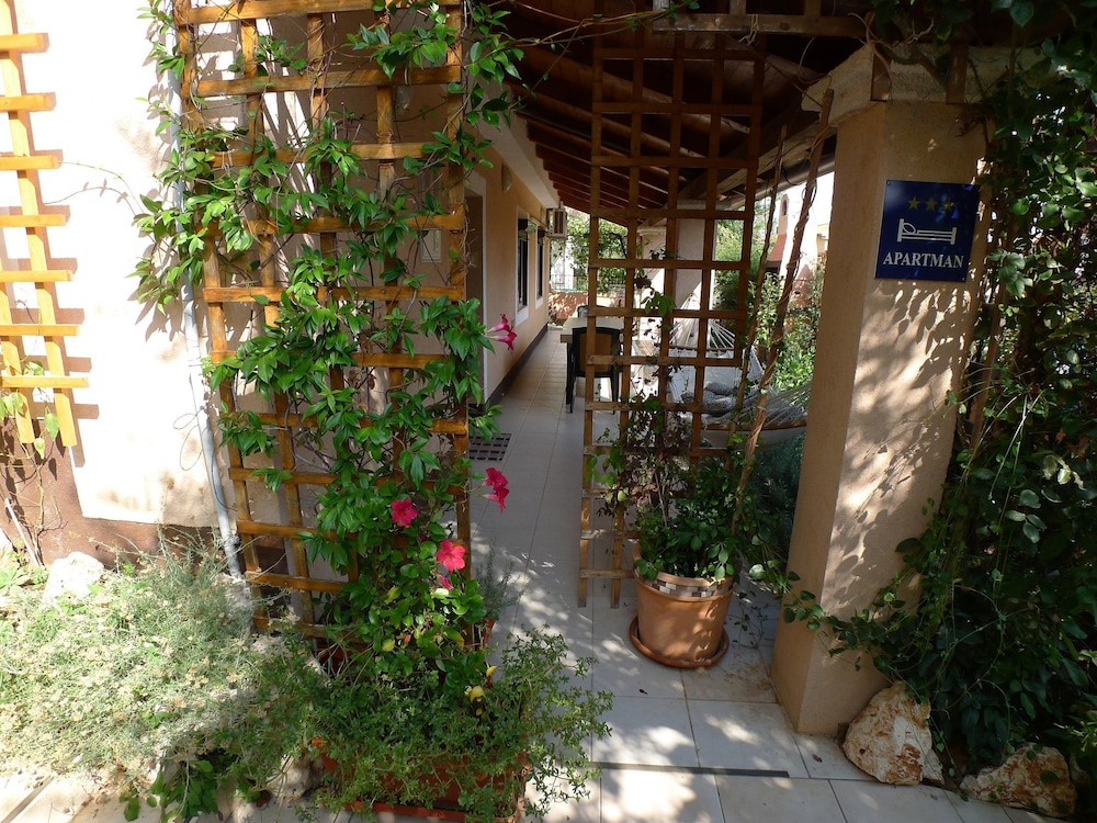Apartment for 3 Persons With Beautiful Terrace view 5