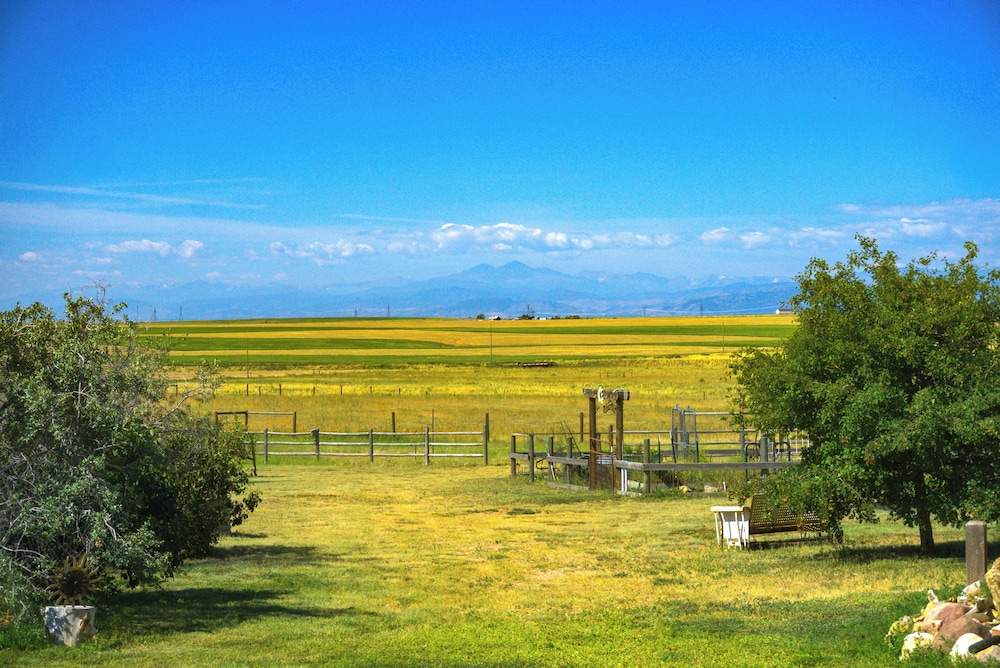 Yak Ranch w/ Mountain Views, Near Wellington!