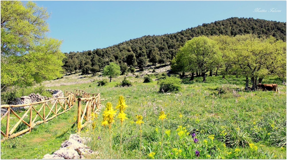 Spiaggia Lunga Camping
