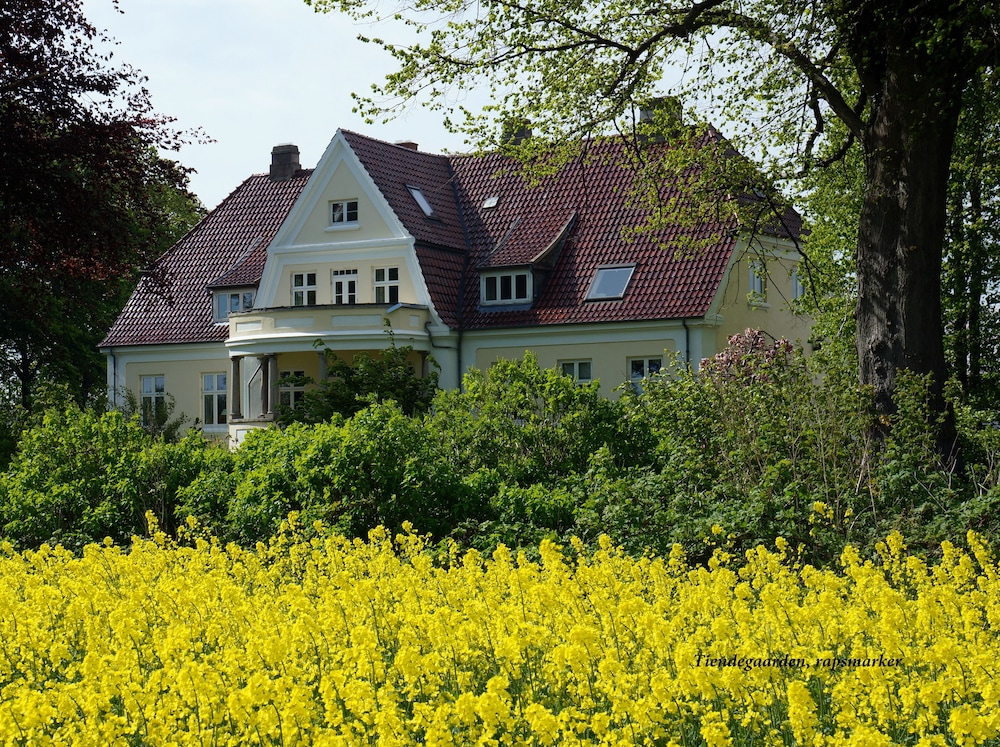 Tiendegaarden