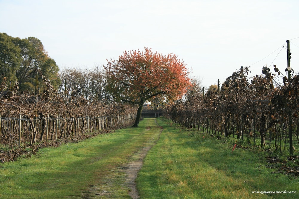 Agriturismo La Meridiana