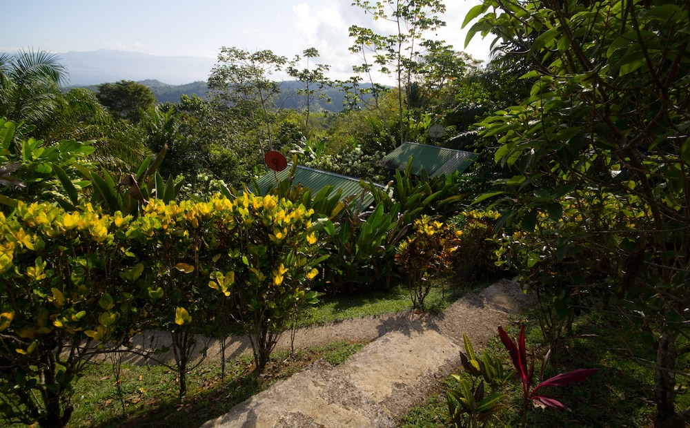Hotel El Mirador Osa