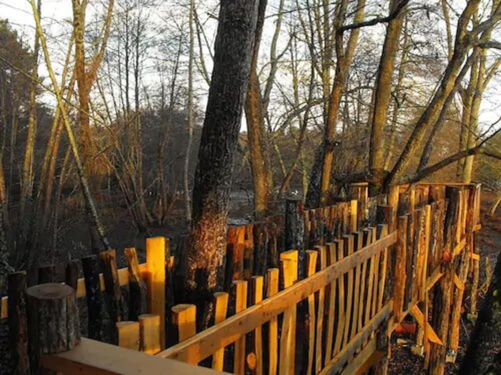 Cabane des cerfs view 4