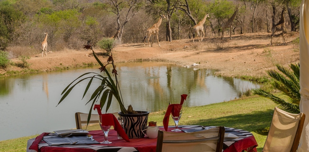 Elandela Private Game Reserve & Luxury Lodge