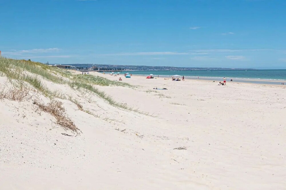 Beachside Buena Vista
