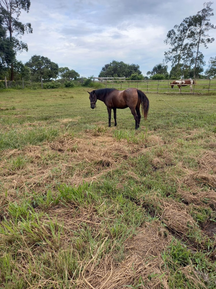 Refuge Brisa do Campo IG - Solar DO Campo