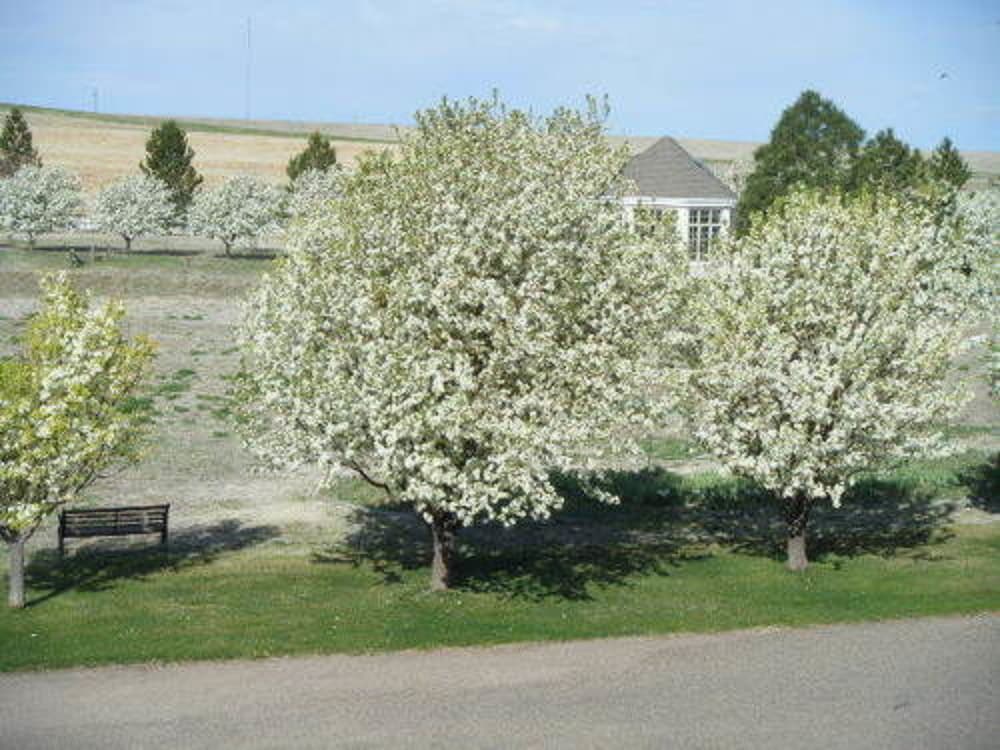 Photo 57