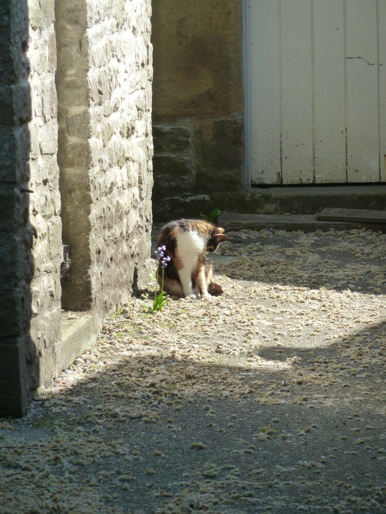 The Old Vicarage B&B