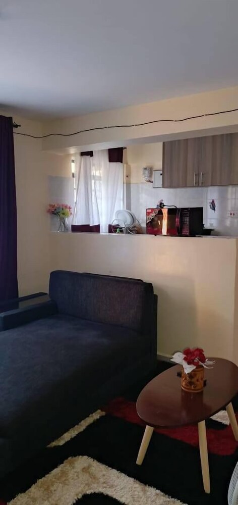Lux Suites Lowe Furnished Apartments