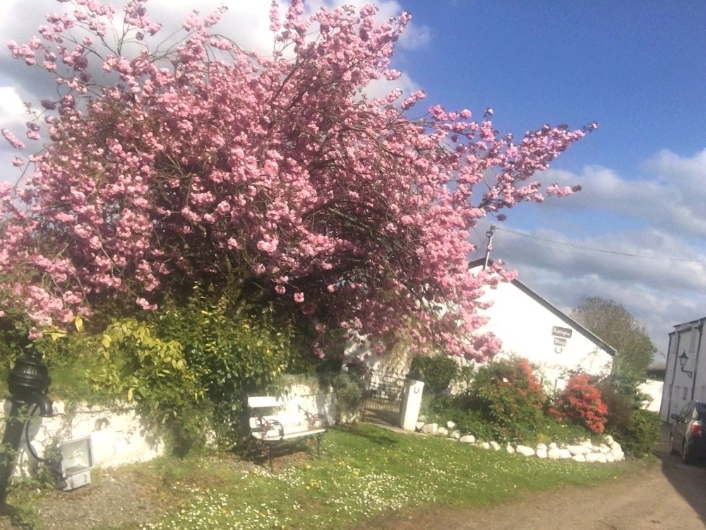 Kingsmills Cottages Cookstown