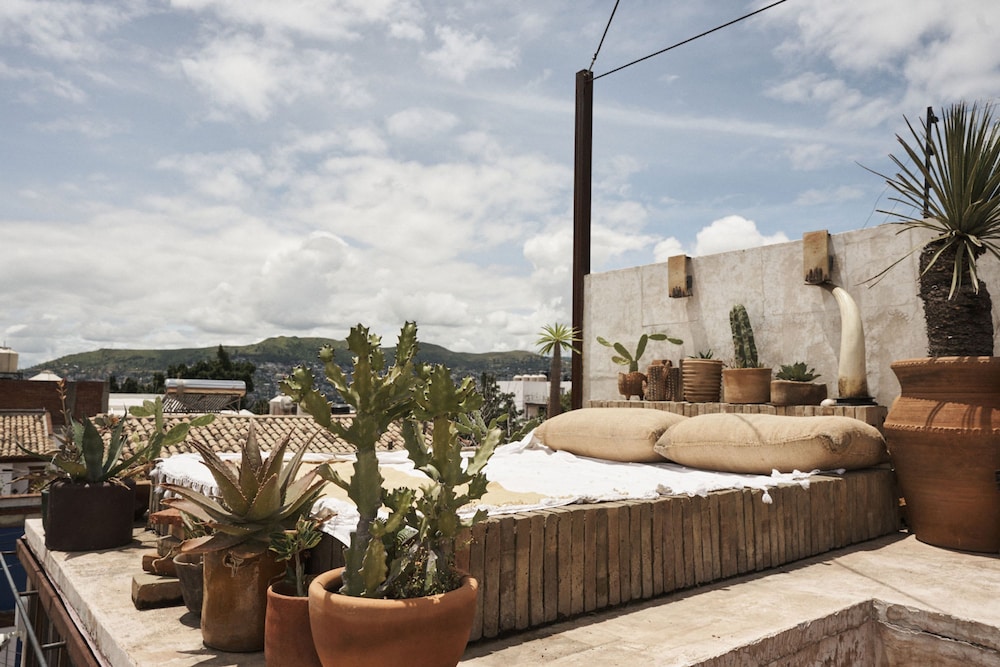 Casa De Ella in Oaxaca de Ju rez