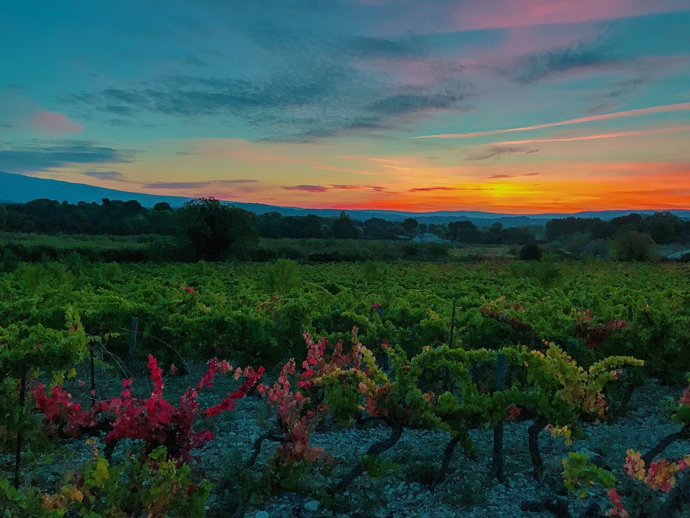 Domaine de La Brave