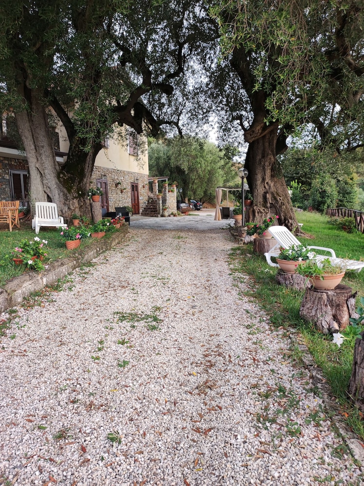 AGRITURISMO  LA FOCAZZA