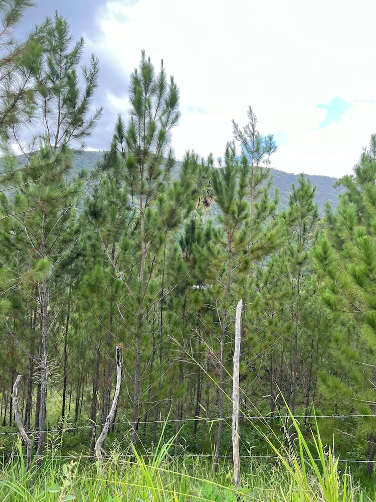 Nice Mountain Cabin, With the Best View