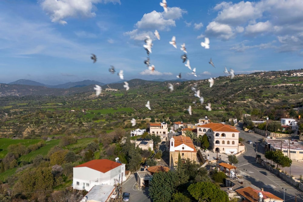 Olive Cottage A True Cypriot Escape