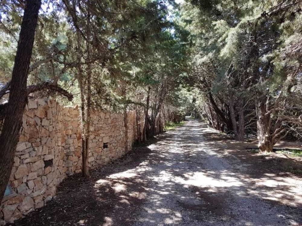 Photo 41