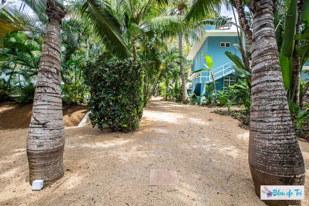 Photo 41