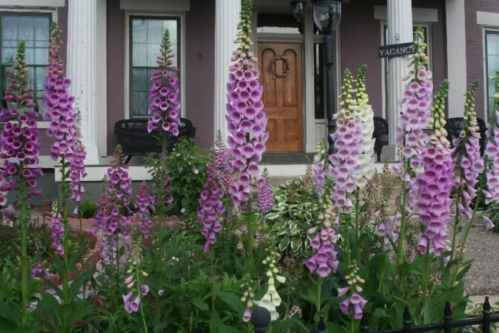 Galena Vacations - Annie Wiggins Guest House - Property Image 1