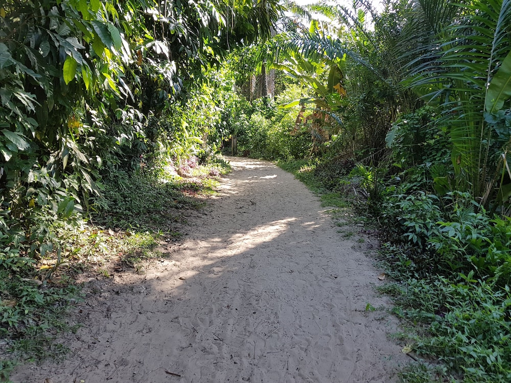 Photo 15
