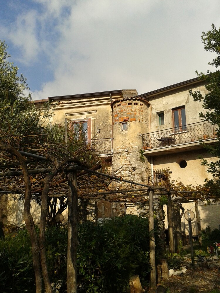 Photo 41