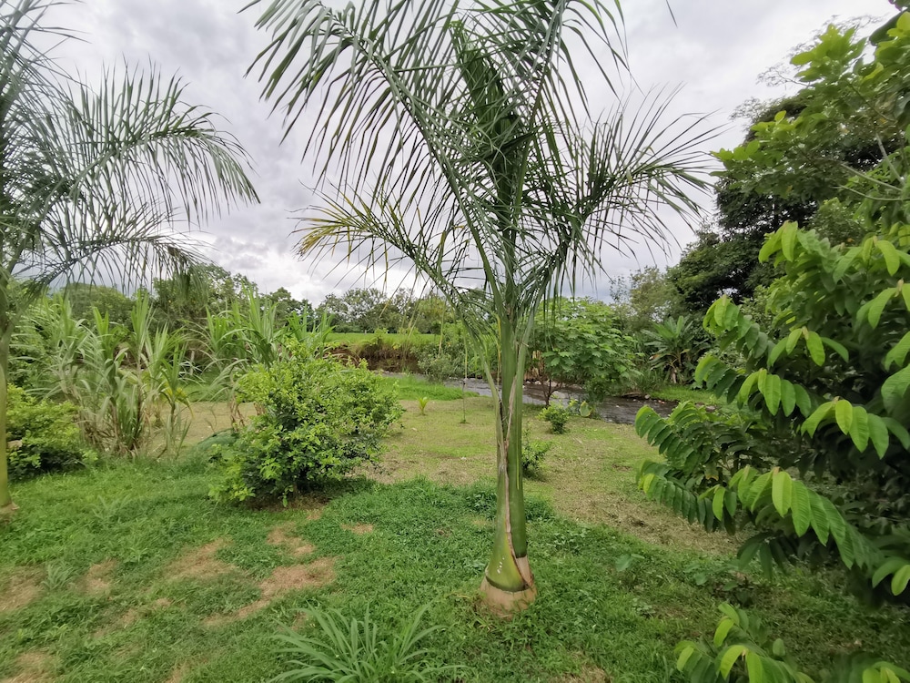 Photo 46