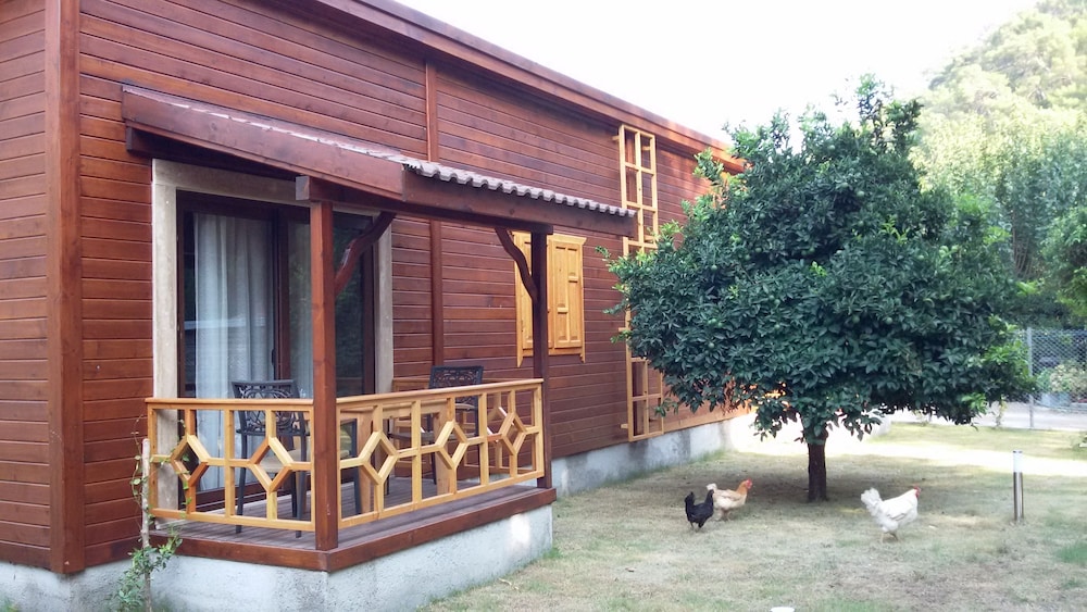 Maji Köyü - Image 43