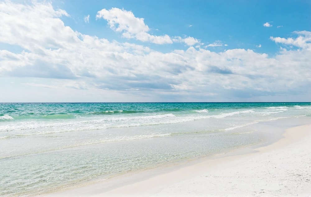 Seas the Day on 30A