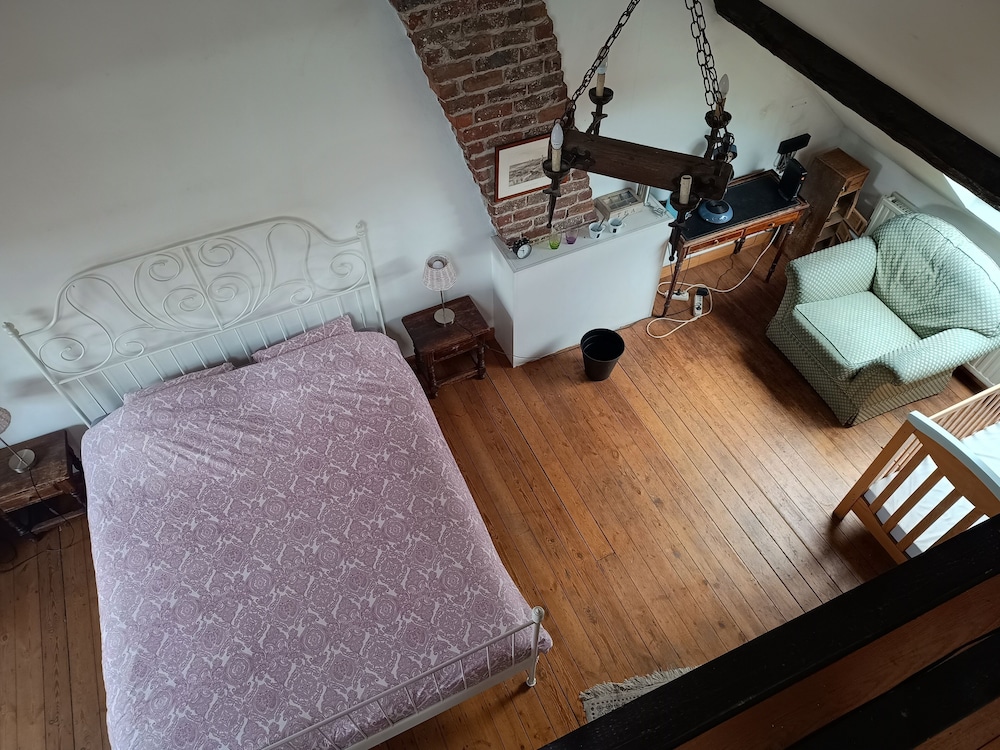 La maison des chiens view 2
