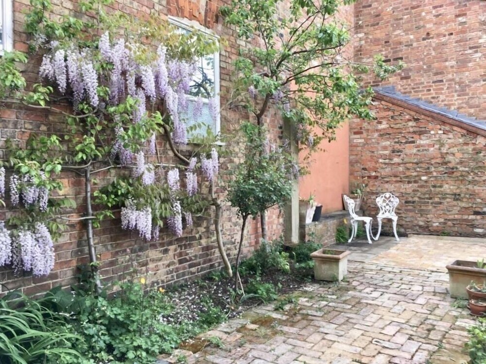Photo 25