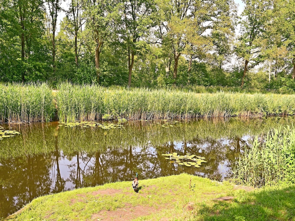 Holiday Home in Reutum With Sauna view 3