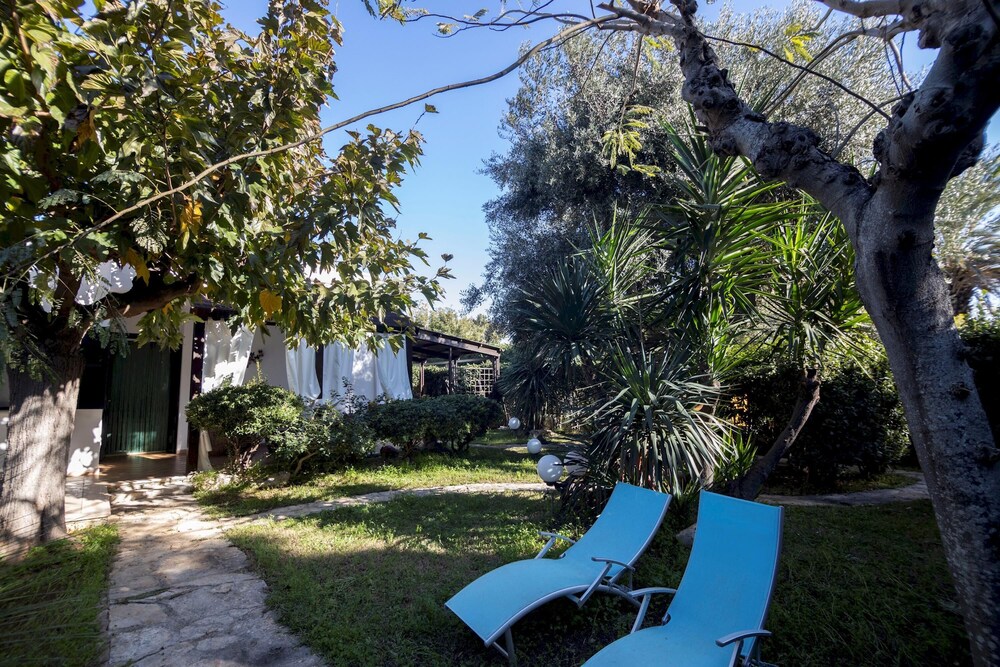 Photo 21