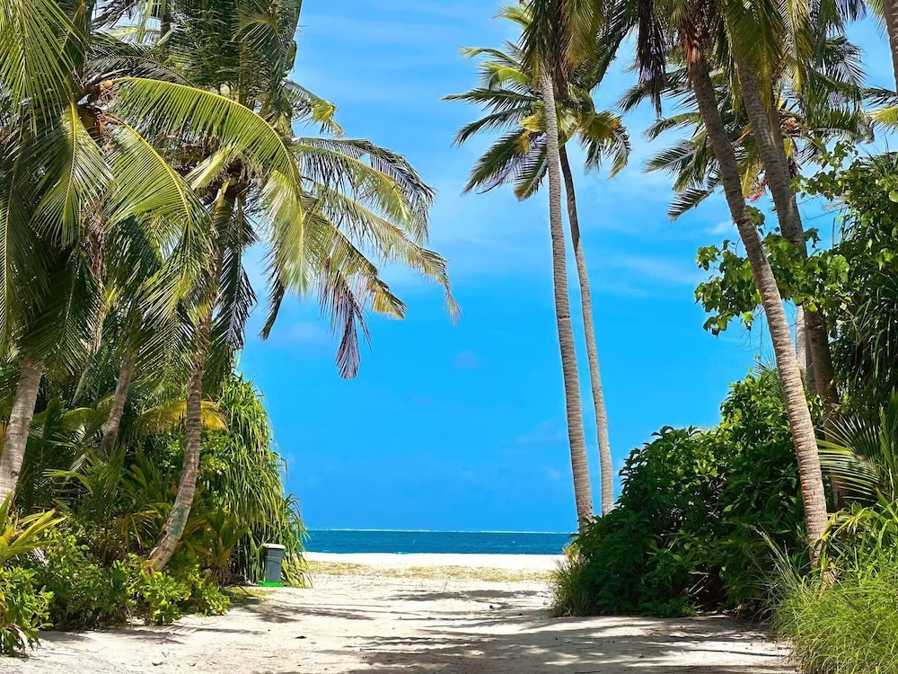 WhiteSand
