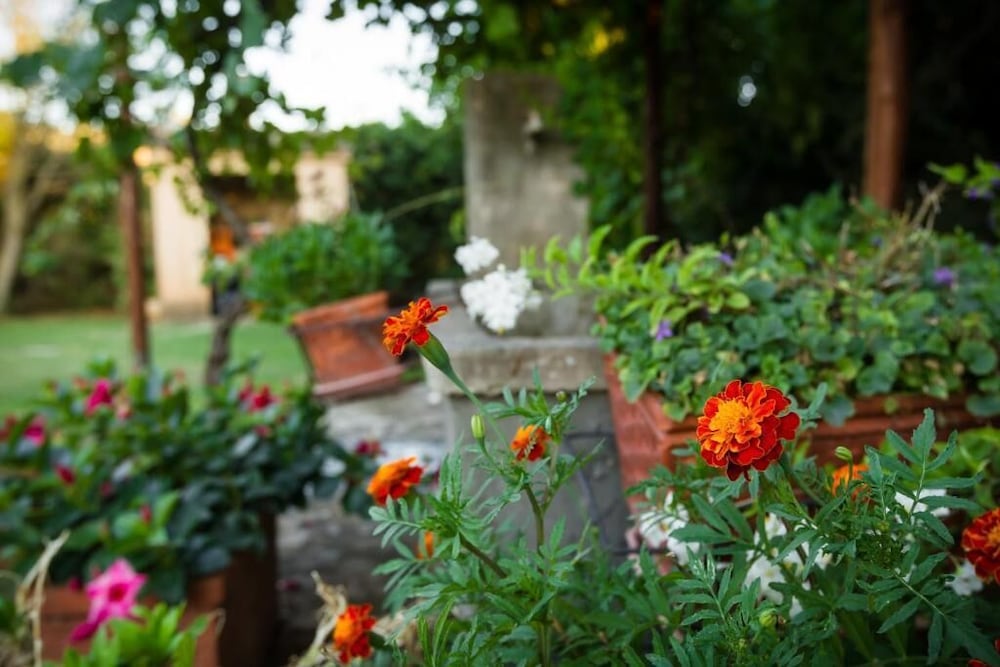 Agriturismo Antica Pinciana